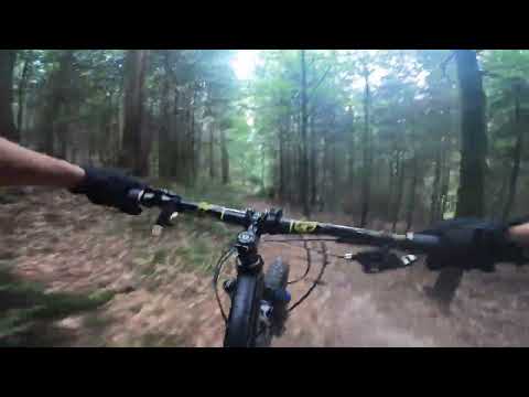 Buhlbachtrail - Von der Binsenhütte zur Glashütte