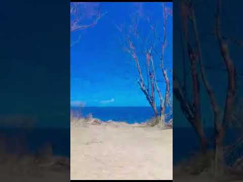 Porto gualberto beach 🏝