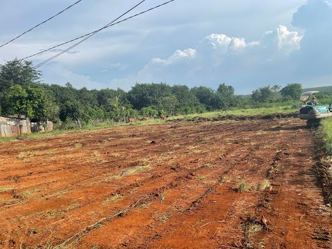 ?Đ? ?ì?? ??ướ? ?ầ? ?á?, ?ổ ?ẳ?,?ở ?ậ? Đ??? ?ê? ?ê ?ô?g