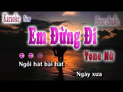 Karaoke Em Đừng Đi Tone Nữ ( Nhạc Hoa Lời Việt ) song nhien karaoke