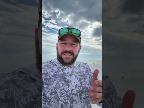 Once You See It… You Can’t Unsee It… #shortsfeed #shortsvideo #congress #langley #goa #atf #bondi Thumbnail