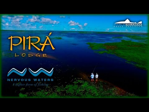 Esteros del Iberá. Pirá lodge. Corrientes, Argentina.