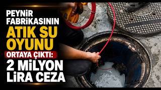 Peynir Fabrikasının Atık Su Oyunu Ortaya Çıktı 2 Milyon Lira Ceza
