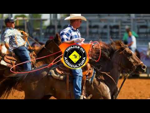 DANÇA DA ROÇA - DJ Chris no Beat e João Dalzoto (Ninjas da Agricultura)