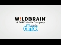 WildBrain Disney Junior 2013 2015