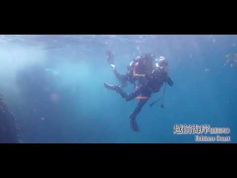夏「SHIKISAI the colors of the 4 seasons Fukui」ふくい嶺北連携中枢都市圏 景観PR映像 第６弾