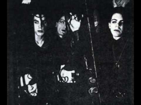 Praise of Folly - Evelyn Widow