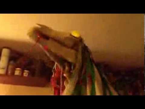 Mari Lwyd at home in the White Horse, Llandeilo