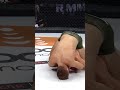 DEAD in the Water... ? Mads Burnell vs  Darko Banovic #shorts #bellator300
