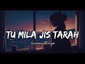 Tu Mila Jis Tarah Saba Mile (Slowed+Reverb) - Shafaqat Ali | VibeMix Lyrics