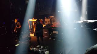 Molotov - Perro Negro Granjero - Museum Live