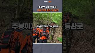 Download lagu [에경PICK] 청송 주왕산 실종 초등생, 사흘 만에 숨진 채 발견 #shorts #청송 #주왕산 #실종 #초등학생 #사망 mp3
