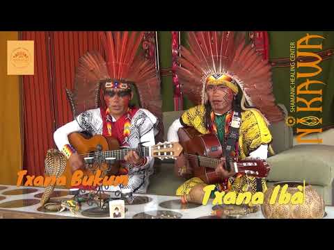 Muka Pabu! Txana ibã huni kuin & Txana Bukun Samakey Hunikui - Icaros from the Maloca  @nikawacenter