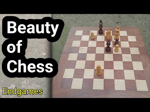 Beauty of Chess || Tactical endgame