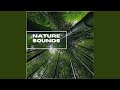 Nature Sounds For Relaxation