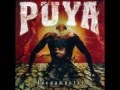 PUYA - Whatever