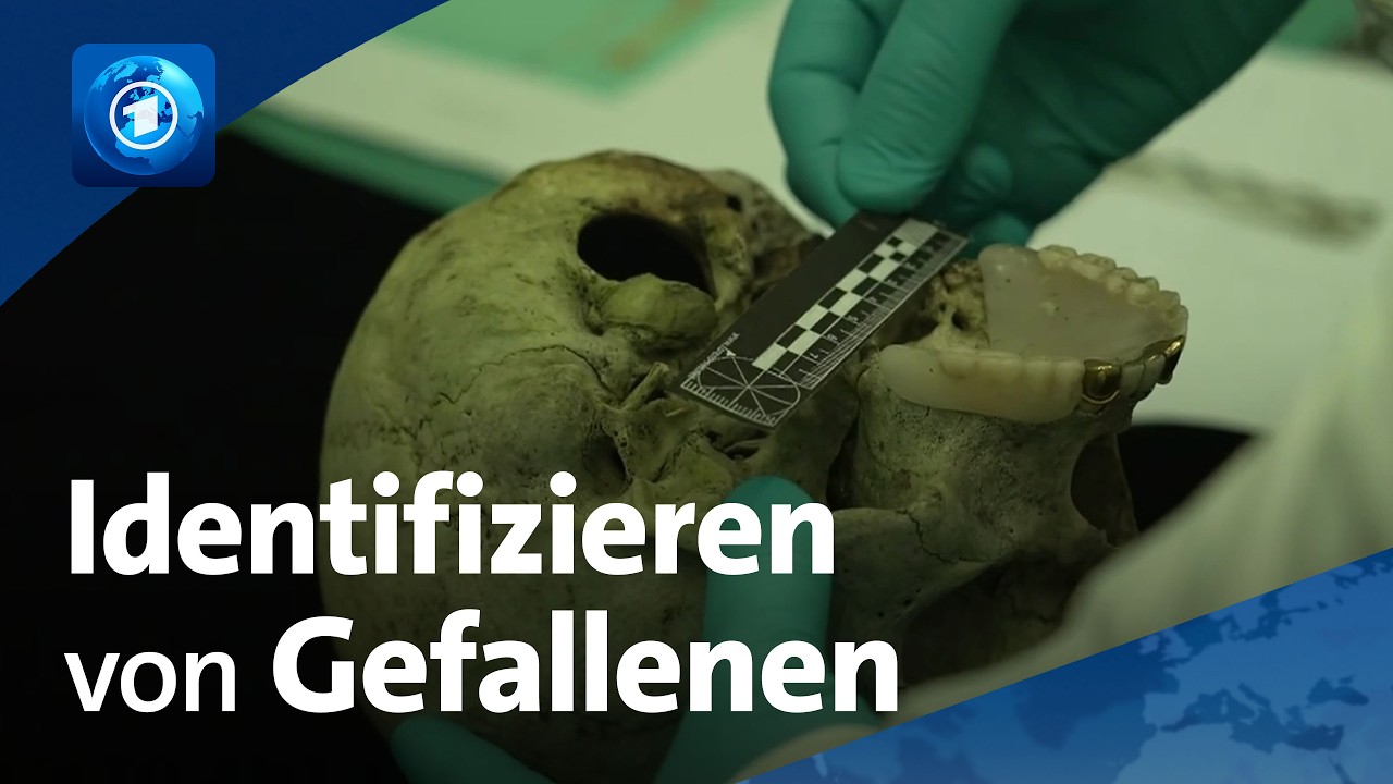 „Das war ein junger Mann!“: Forensiker identifiziert Kriegstote in der Ukraine