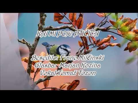 Kaj mi poje ptičica /Kekec /1951