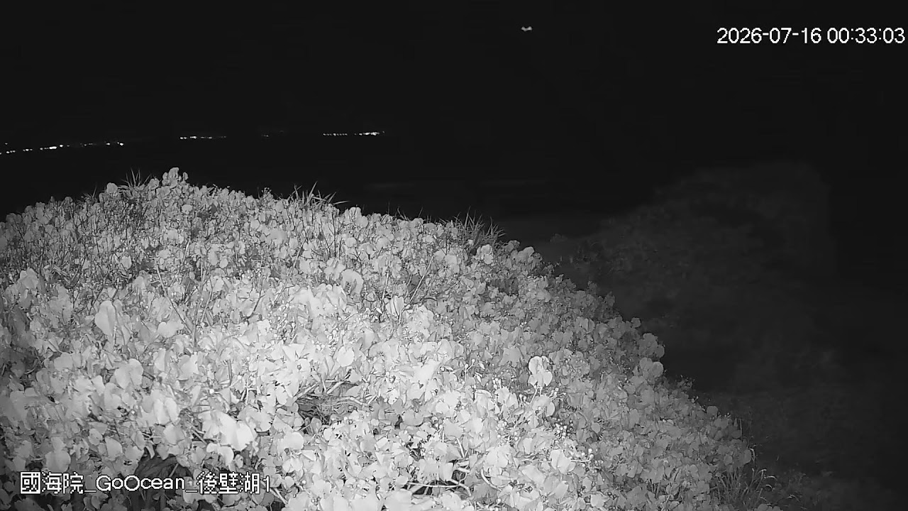 Live webcam view of Houbihu Reef Watch