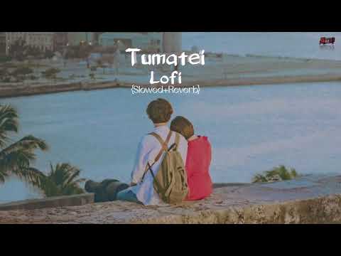 TUMATEI- MIZZU MIRZANOOR -Buddies [Slowed+Reverb] Assamese Song 2022