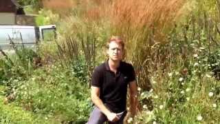Album cover: Plant ID Videos