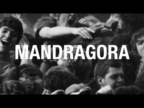 Fuck The Cops (Mandragora Remix) - original by: Todiefor, Meryl [Psy-Techno]