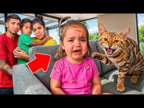 Our Cat Attacked Our Baby… WE HAVE TO GET RID OF HIM 