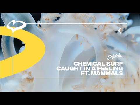 Chemical Surf Caught In A Feeling (feat. Mammals)