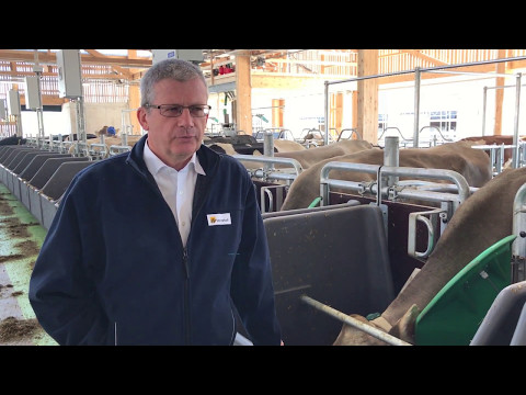 Matthias Schick, Strickhof, vor der Forschungsherde