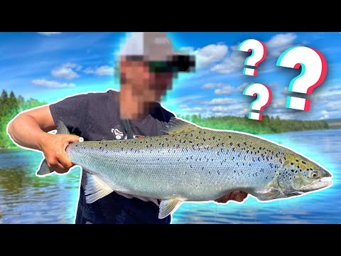 PENALTY FISHING - River Salmon Fishing (Toughest One This Far) | Team Galant