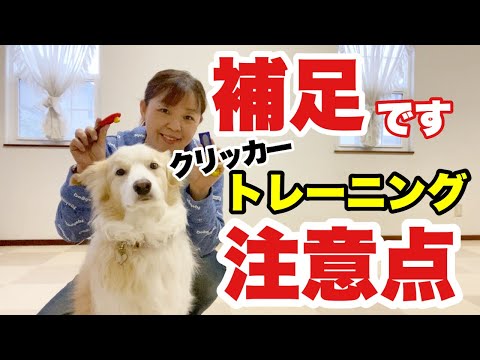 訓練中に犬用クリッカーを持ち歩く