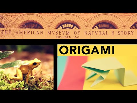 Fold an Origami Jumping Frog in 13 Easy Steps