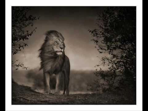 Life Is a Treasure - Rebellion The Recaller ( Crystal Woman Riddim )