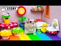 🍄 Hamster Super Mario Maze 🍄 Homura Ham