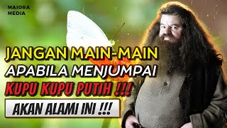Download lagu JIKA ANDA TAK SENGAJA BERTEMU KUPU KUPU PUTIH , HARAP WASPADA ❗ Arti Melihat Kupu Kupu Putih .. mp3