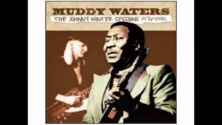 Muddy Waters - Copper Brown