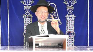ביטוח חיים אמיתי - מסר מיוחד לכל יהודי מתורת רבינו הגאון הינוקא שליט"א | הרב יחזקאל צמח