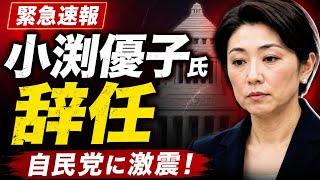 【速報】小渕優子氏が辞任！消費減税反対で自民党に衝撃走る