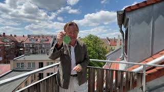 WOW 😍 I Lovely Roof - Dachterrassen-Wohnung I Blick auf die Nürnberger Burg I Vollmöbliert I Bad neu