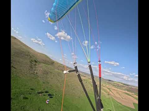 Paragliding 2025 Codaesti