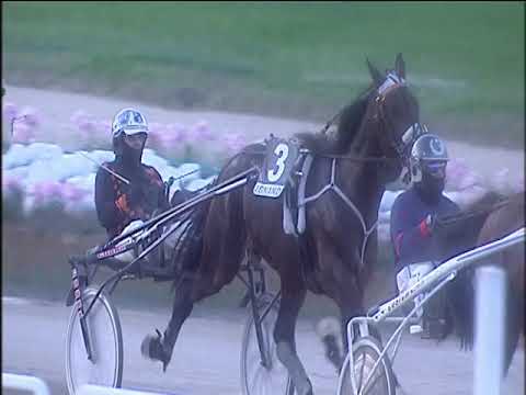 Trotto 01/12/2019 - 5ª corsa