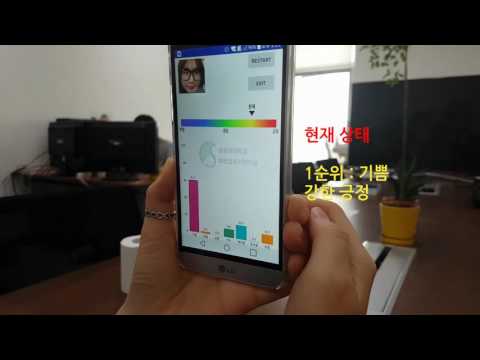 감정 상태 인식 Video