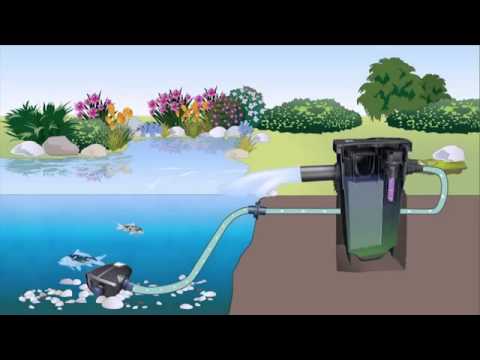 Teichfilter FiltoMatic CWS