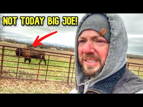 Had to do a Roundup, But Big Joe Can't Come In!