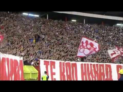 Delije Sever - AMAZING