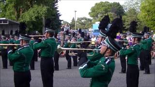 Litchfield Marching Dragons At Roseville 2013