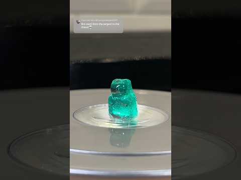 World’s smallest gummy bear reveal #shorts