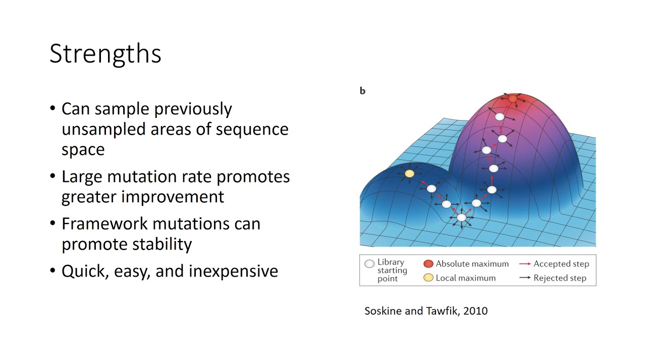 Error Prone PCR: An Overview