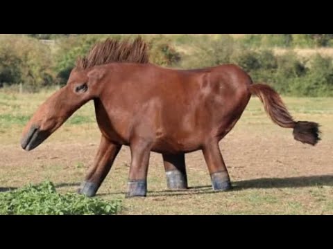 Kids Drawings Come to Life