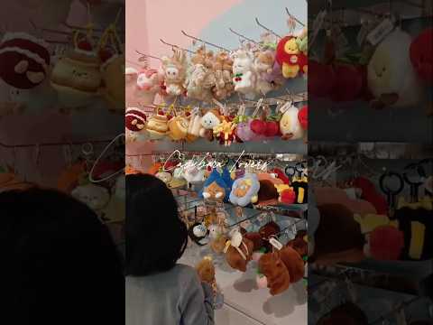 CAPYBARA LOVERS NICE TO MEET YOU #capybara #shortvideo #youtubeshorts